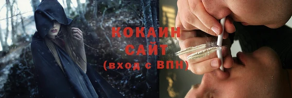 амф Краснослободск