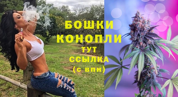 амф Краснослободск