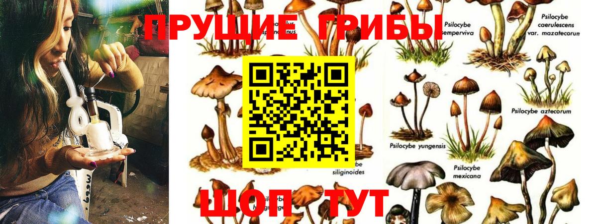 Псилоцибиновые грибы Magic Shrooms Йошкар-Ола